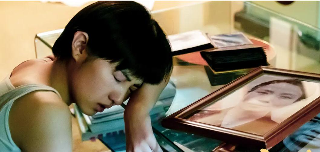 娱乐圈没人怕的明星_多年如一日几乎没有黑粉的明星_演技几乎没有黑粉的明星